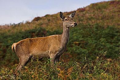 《地平线：西之绝境》法国街头宣传片 cos小姐姐超吸睛